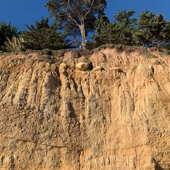 Meet your Posher, Elim - Picture 3 of 13